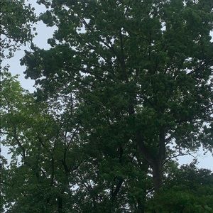 Meet your Posher, Ellen